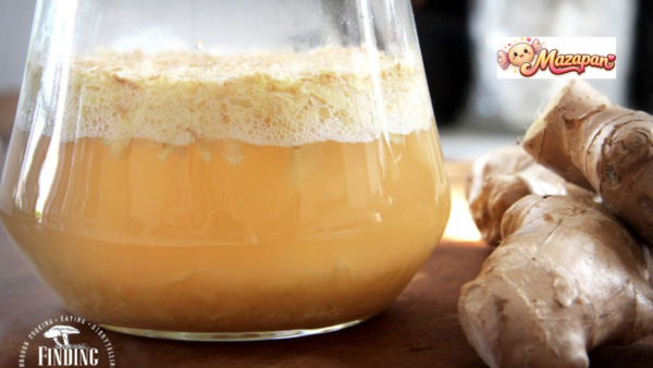 Ginger Beer Recipe with Ginger Bug: The Ultimate Homemade Fermented Drink Guide